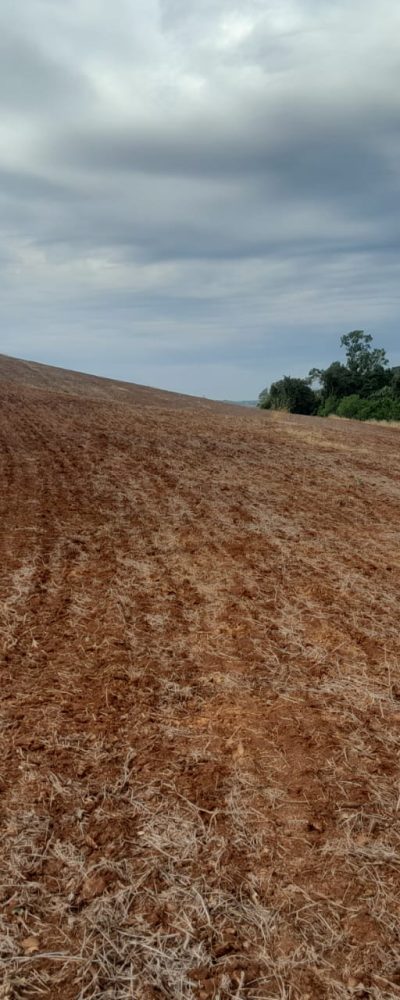 Imobiliária em Capanema, Casa Pra Alugar em Capanema Paraná, Terrenos, Lotes, Apartamento.